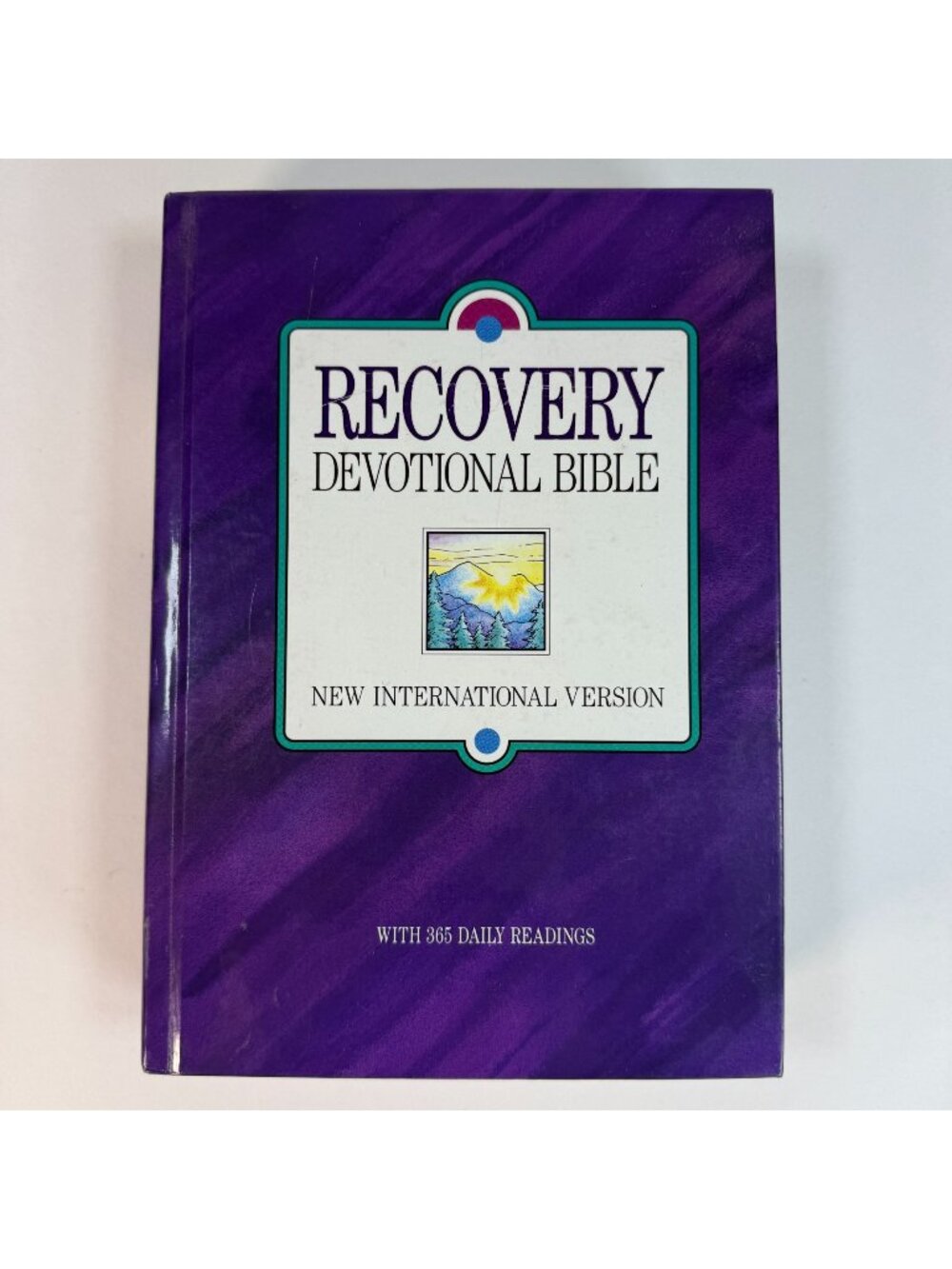 Recovery Devotional Bible Hardcover NIV New International Version 1993 Purple Co